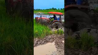 tractor wala help me shortsvideo automobile tractor tractorvideo [upl. by Rosenberg]