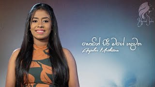 Sowin Piri Mage Hadawatha  සොවින් පිරි මගේ හදවත  Anjalee Methsara  Acoustic Cover [upl. by Nirej]