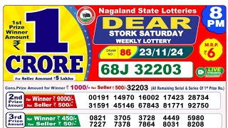 Nagaland State Lotteries 8 PM  Lottery Sambad  23112024 Dear Stork Evening Lottery Result LIVE [upl. by Yemane]