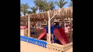 Iberotel Palace Sharm Adults Only Hotel [upl. by Arodnap]