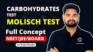 Test for Carbohydrates Molisch Test IIT JEE  NEET BOARDS chemgateway jee2024 [upl. by Gean]