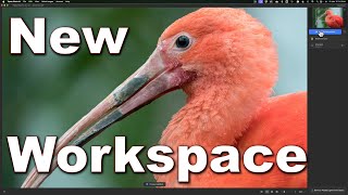 Whats NEW in Topaz Photo AI Significant Workspace Changes [upl. by Arikehs299]