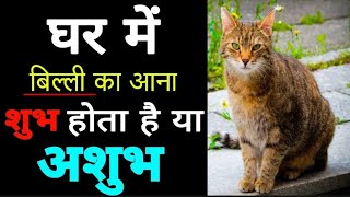 बिल्ली का घर में आना शुभ या अशुभ Billi ka ghar me Aana Shubh ya Ashubh [upl. by Waterman944]