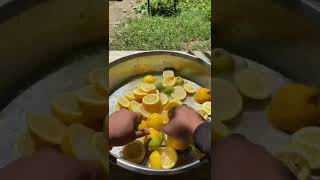 Limonata Yapımı 🍋 limonata içecek lemom food eat drink içecekler yemek tarifler [upl. by Aittam]