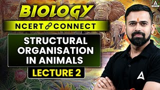 Structural Organisation in Animals Class 11 NEET 2025  Biology NCERT CONNECT Series  Vishal Sir [upl. by Madison]