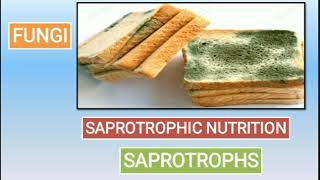 Class 7 Science Chapter 1 Part 2Saprotrophs Symbiosis ParasitesInsectivorous plant [upl. by Bean]