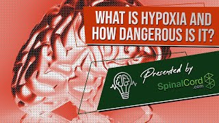 Hypoxia Definition Causes Symptoms and Treatment What is hypoxia and how dangerous is it [upl. by Narib]