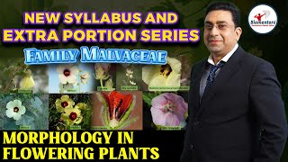 New syllabus and Extra portion Series I Family Malvaceae I Morphology in flowering plants [upl. by Alyakam]