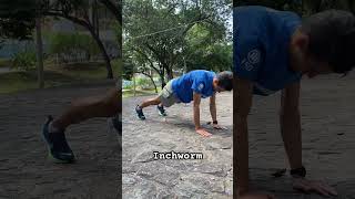 Inchworm  Gusanos 🐛 plus inchworm exercise [upl. by Pat]