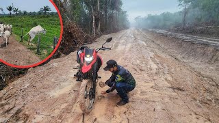 PEGAMOS MUITA CHUVA E ATOLAMOS NO NOSSO ATERRO FOI O JEITO RANCAR TUDO [upl. by Eerb]