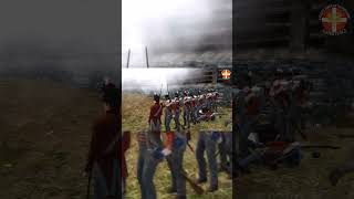 The weekly event of Hungarian Line Infantry on Mount amp Blade Napoleonic Wars mountandbladewarband [upl. by Pavlov]