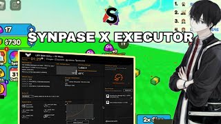 Synapse X Reborn  Latest PC Executor Working 20242025 [upl. by Idrahs]