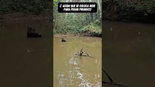 Lago LOTADO peixe subscribe pescaesportiva recap youtube reels shorts [upl. by Asillem]