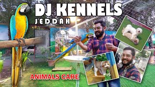 DJ KENNELS JEDDAH 🤩 Had a Great Time in this place 🔥Pet Lovers Must Visit  Fazils View [upl. by Aneeled78]