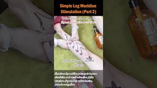 Simple Leg Meridian Stimulation Part 2 [upl. by Musetta123]