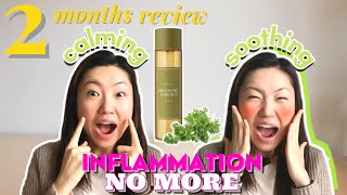 Im From Mugwort Essence Review  2 Months Product Review  Soothing and Calming Essence [upl. by Haseena]