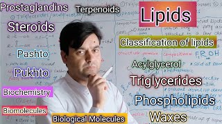 Lipids  Classification  Acylglycerol  Triglycerides  Phospholipids  Waxes  Steroids PG [upl. by Oad]