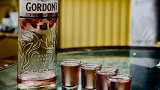 GORDONS PINK Distilled GinGin reviewcocktail alcohol gordon [upl. by Africah]