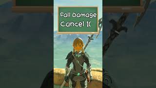 Fall Damage Cancel 101  Breath of the Wild Glitches [upl. by Mosier]