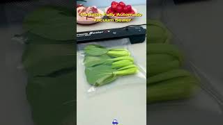 Automatic Household Vacuum Sealer ytshorts vacuum good home [upl. by Sirkin]