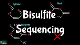 Bisulfite Sequencing  Whole Genome Bisulfite Sequencing  WGBS  BiSeq  DNA Methylation Detection [upl. by Assylem]