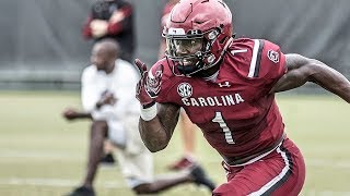 South Carolina WR Deebo Samuel 2018 Highlights [upl. by Colvin]