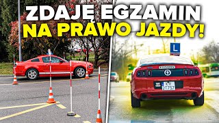 MÓJ EGZAMINA NA PRAWO JAZDY [upl. by Pendleton]