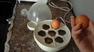 How to use an Egg Geenie [upl. by Swisher400]