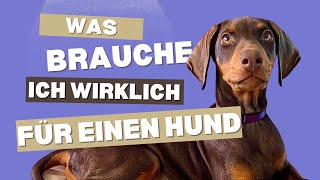 Welpen ERSTAUSSTATTUNG  Was brauche ich wirklich für meinen ERSTEN HUND [upl. by Felicidad]