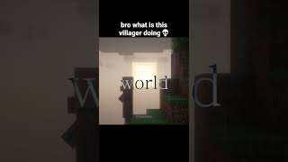 Minecraft Villager Moment [upl. by Ahsaet]