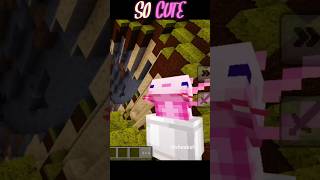 Minecraft meme animation shorts cute [upl. by Ettesus938]