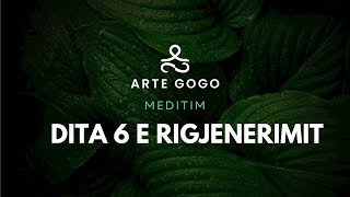 Meditim rigjenerimi dhe sherimi  Dita 6 [upl. by Fedora]