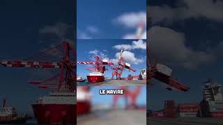 Une grue portuaire seffondre après une collision à Taïwan  🚢🏗️💥 [upl. by Mellen438]