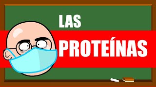 PROTEÍNAS Y AMINOÁCIDOS 💪💪💪 UN MES DE CLASES EN 5 MINUTOS [upl. by Lapham937]