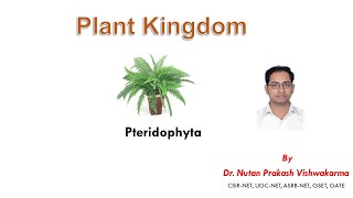 NEET Biology  Plant Kingdom Pteridophyta  Part 1 [upl. by Aerdnahc107]