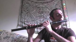 The Congress Reel  Irish Flute  slowfast [upl. by Sinned444]