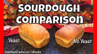 Sourdough Bread Comparison  Commercial Yeast vs No Added Yeast [upl. by Lorusso]