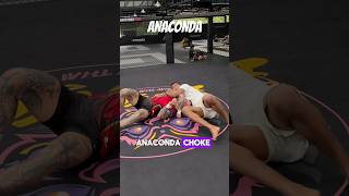 Anaconda choke 🐍 fyp viralvideo grappling bjj ufc submission tapout anaconda [upl. by Hatch]