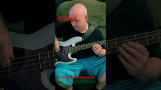 Primus  Southbound Pachyderm Bass Cover primus basscover bass rock funk metal lesclaypool [upl. by Longawa]