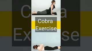 Cobra Exercise  Healthy Life  Fitness shorts [upl. by Nishom]