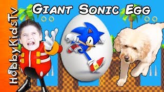 We Open a Giant SONIC Surprise Egg while HobbyDog Races Toys with HobbyKids [upl. by Oicor534]