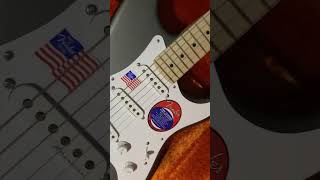 Fender Stratocaster Eric Clapton Signature pewter guitar music ericclapton fender [upl. by Baniaz]