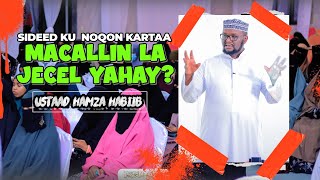 quotSIDEED KU NOQON KARTAA MACALLIN LA JECEL YAHAYquot  USTAAD HAMZA HABIIB [upl. by Durrett713]