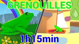 Histoires de Grenouilles  Les Patapons [upl. by Eniksre66]