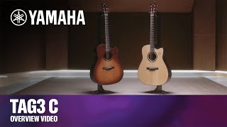 TAG3 C  Yamaha TransAcoustic Guitars [upl. by Descombes]