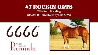 RTTR 2024  Hip 7 Rockin Oats [upl. by Berny792]