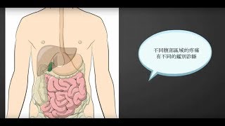 腹部痛 Abdominal Pain [upl. by Esli609]