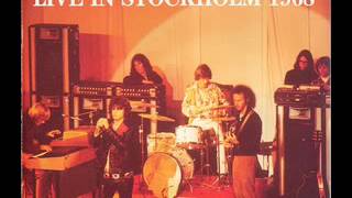 The Doors  Light My Fire Stockholm 1968 2nd Show [upl. by Sherborn395]