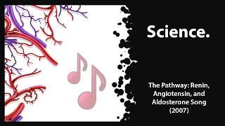 The Pathway Renin Angiotensin amp Aldosterone 2007 [upl. by Holbrooke]