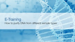 Sample preparation for nucleic acid extraction [upl. by Nnaul]